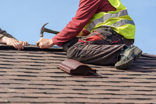 Best Sealant for Roof  in King Cove, AK