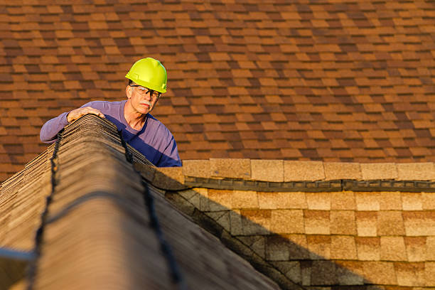 Best Shingle Roofing Installation  in King Cove, AK