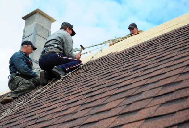 Best Gutter Installation and Roofing  in King Cove, AK
